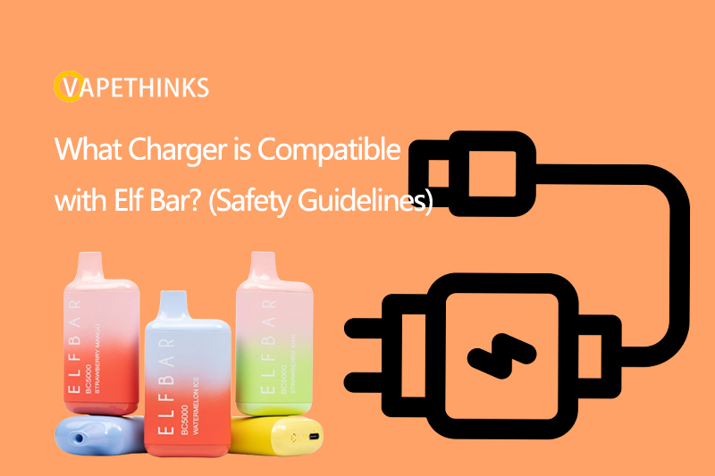 What-Charger-is-Compatible-with-Elf-Bar-Safety-Guidelines